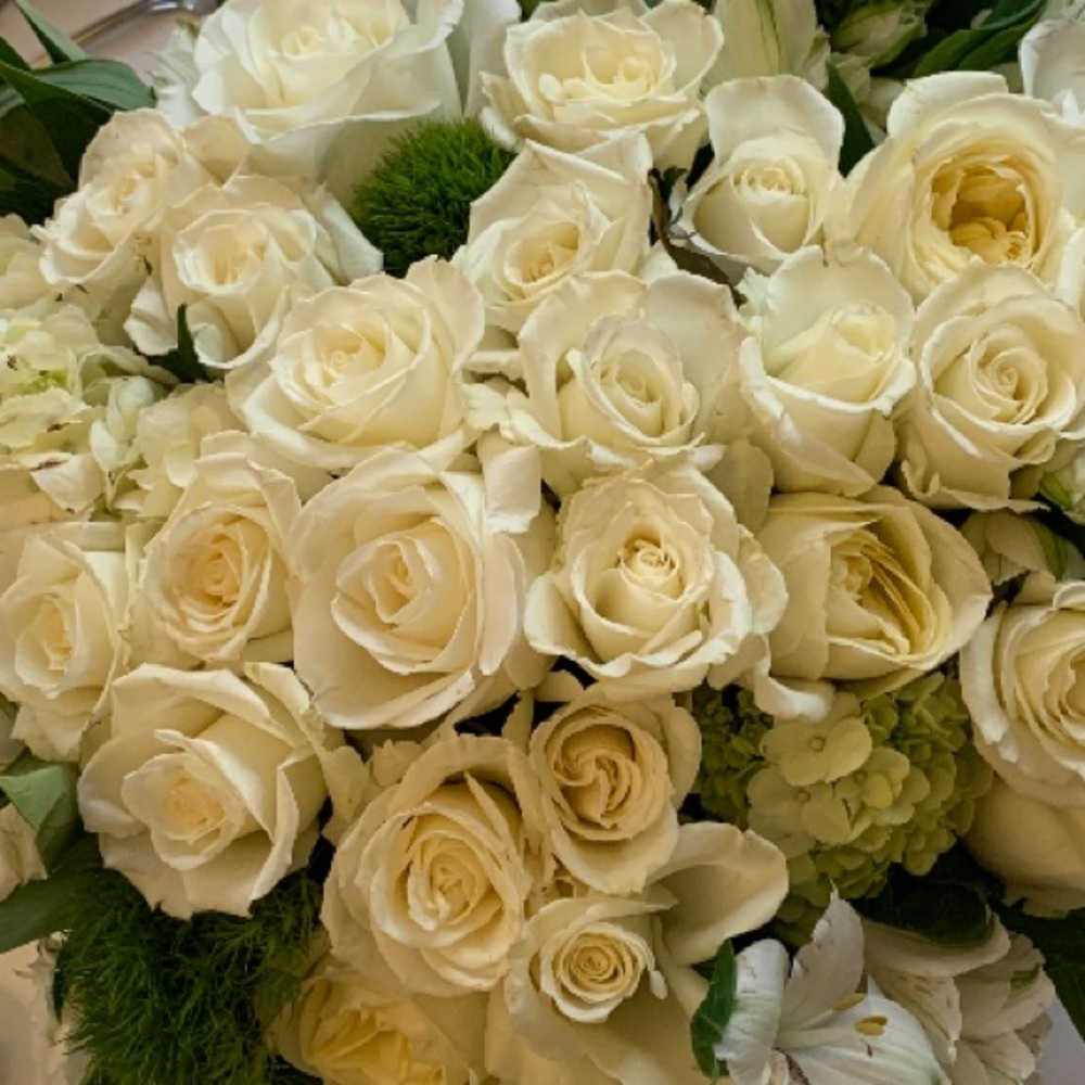 Meet your Posher, Ava